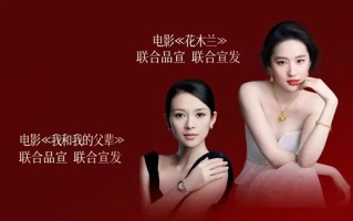 奢源水光，项目和模式和代理加盟合作机制